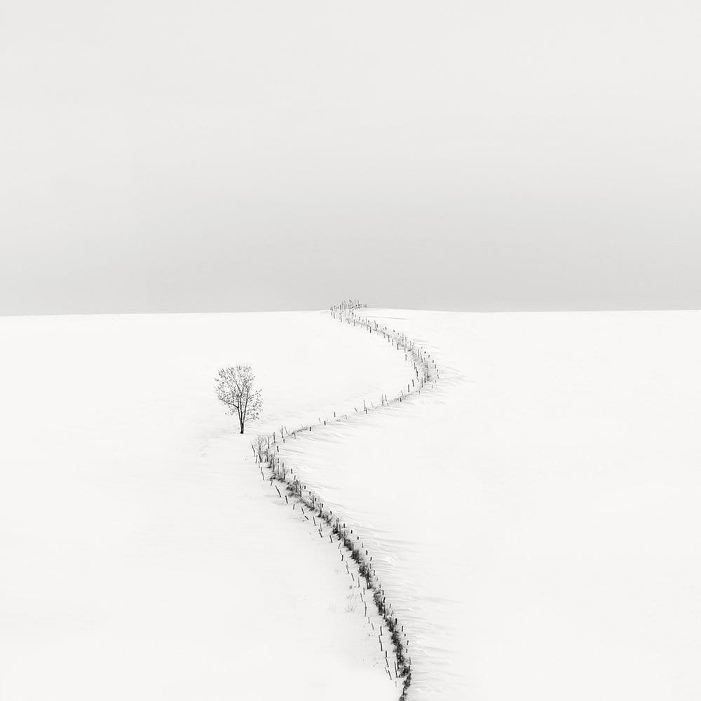 La sublime poésie en noir et blanc d&rsquo;Eva Chupikova.